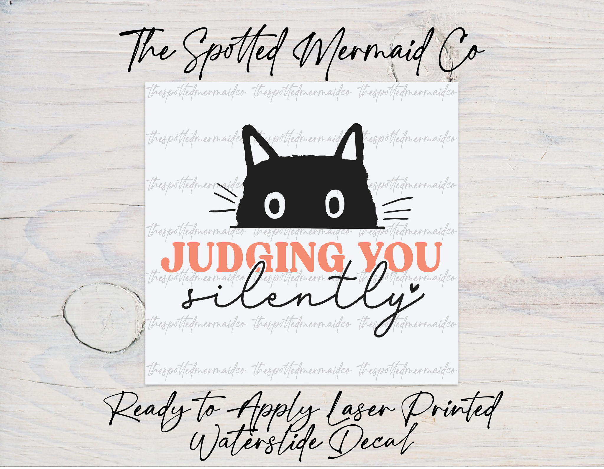 Cat Judging You Silently Waterslide Decal